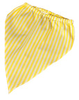 Hair Scarf & Fur Baby Bandana in Stripes or Seersucker Check